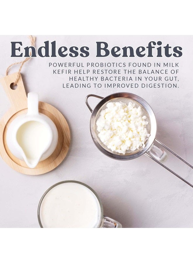 CULTURES FOR HEALTH حبوب كفير الحليب من كالتشرز فور هيلث | مشروب بروبيوتيك غير معدل وراثيًا لزيادة صحة الأمعاء | طراز وراثي غير محدود | سهل النكهة أو الإضافة إلى الوصفات | بلغاروس دي ليش - Image 5