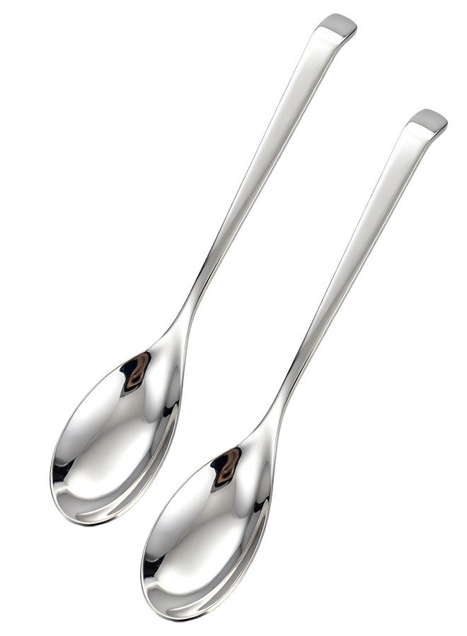 Txhlyx Serving Spoons,SUS 304 Stainless Steel – for Buffet,family reunions,Dishwasher Safe – Set of 2, 9.8 Inch - Image 1
