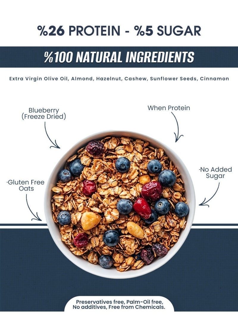 PURE BITE High Protein(Whey Protein added)-Low Sugar Blueberry Granola, No added Sugar, Gluten Free, Sweetened with Apple - Image 2