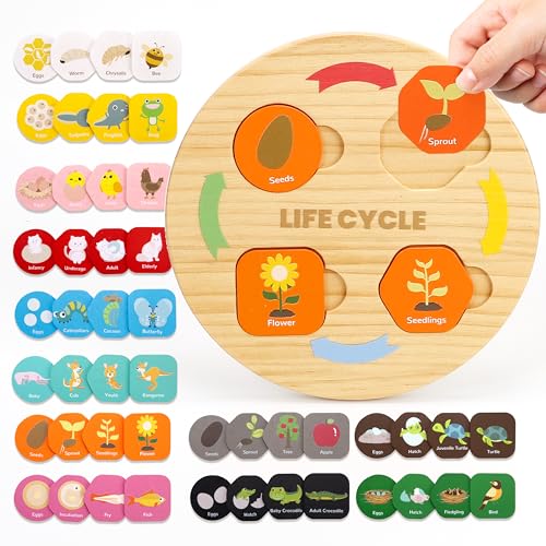 Woodtoe Life Cycle Toys for Kids 12 Themes Montessori Preschool Science Center Materials Wooden Learning Educational Toys for Toddlers Learning Game Christmas STEM Toys for Boy Girl Age 36 - Image 1