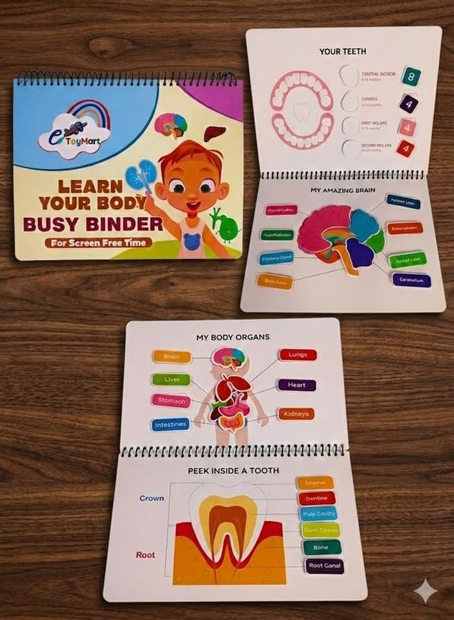 eToymart Busy Binder Book for Toddlers - Learn Your Body (Level 3) | Human Body Educational Book for Kids | Montessori Learning Busy Board & Activity Velcro Book for Kids 4-8 Years - Image 2