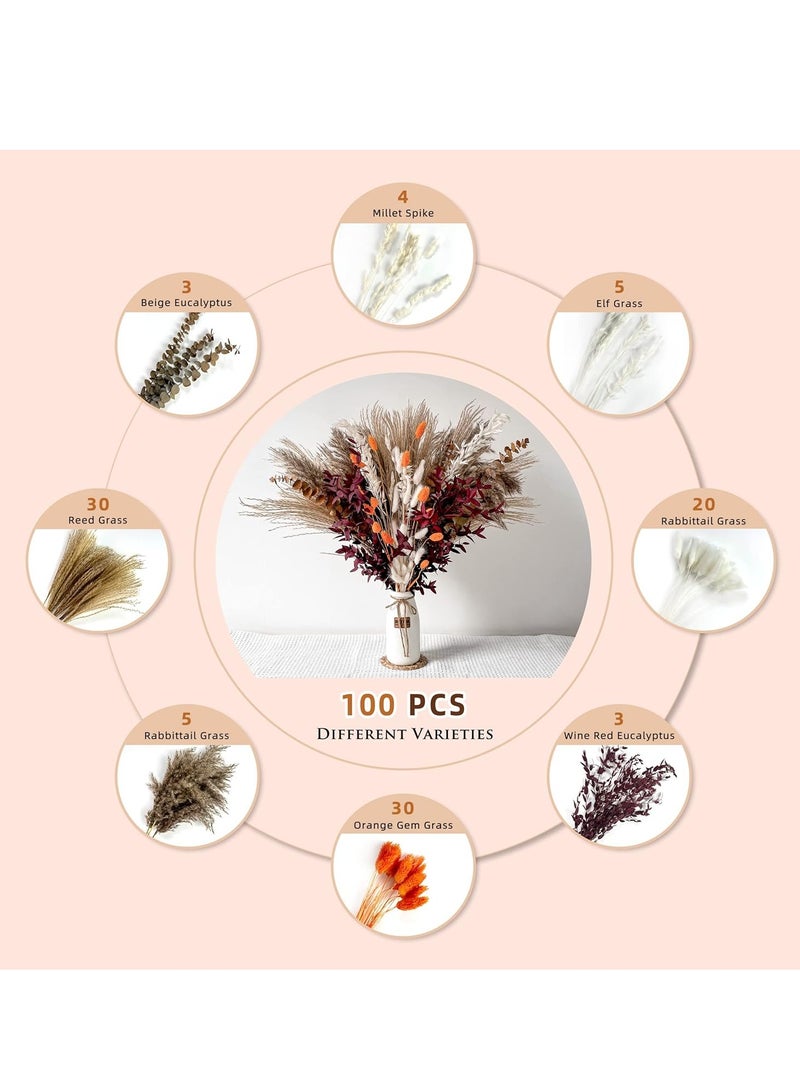 Excefore Natural Dried Pampas Grass, Boho Decor Fluffy White Pompous Grass Large Reed Bunny Tail Wheat Stalk Decorative Plumes Italian Ruscus Solidago Goldenrod Flower Bouquet - Image 3