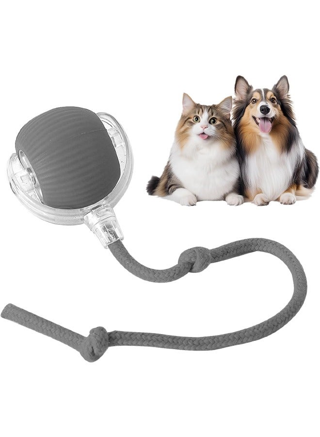 Interactive Rolling Pet Toy Ball, 360° Smart Automatic Self Rolling Cat Dog Ball Toys, Smart Interactive Pet Toy Ball, USB Rechargeable Cat Toys Ball, Automatic Electric Moving Ball Toy for Indoor Cat/Dog (Grey) - Image 1