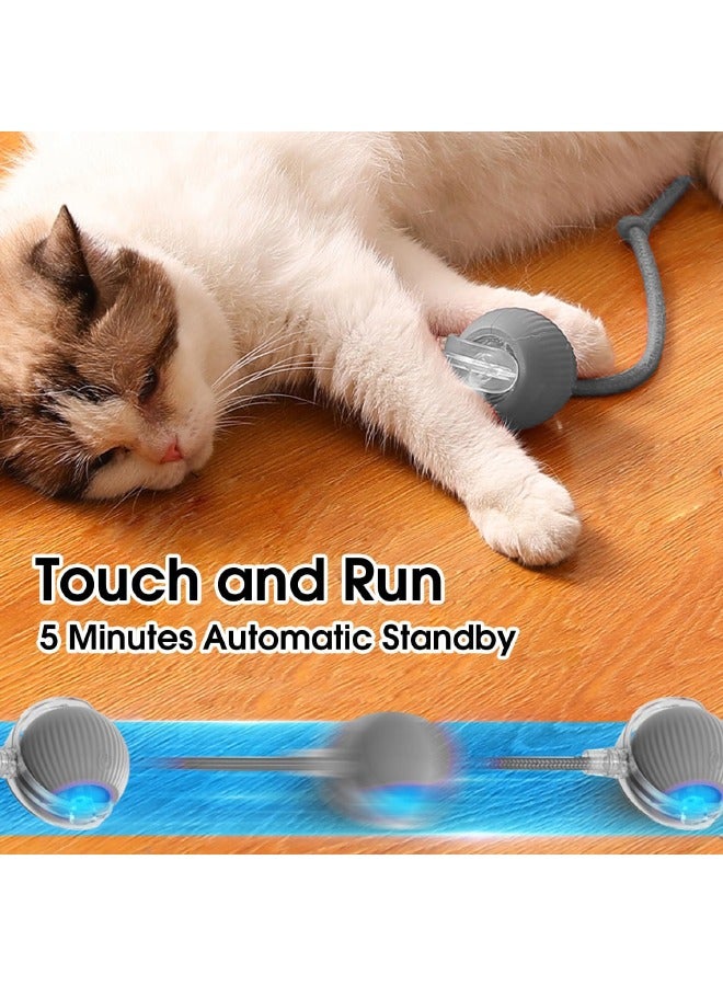 Interactive Rolling Pet Toy Ball, 360° Smart Automatic Self Rolling Cat Dog Ball Toys, Smart Interactive Pet Toy Ball, USB Rechargeable Cat Toys Ball, Automatic Electric Moving Ball Toy for Indoor Cat/Dog (Grey) - Image 4