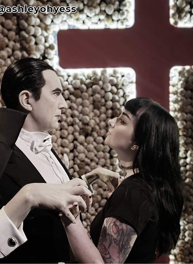 ARCTIC FOX صبغة شعر شبه دائمة نباتية وخالية من القسوة (8 أونصة سائلة، ترانسلفانيا) - Image 4