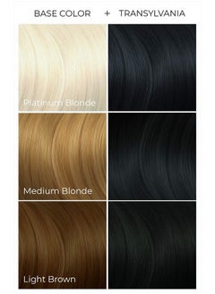 ARCTIC FOX Vegan and Cruelty-Free Semi-Permanent Hair Color Dye (8 Fl Oz, TRANSYLVANIA)  - Image 2