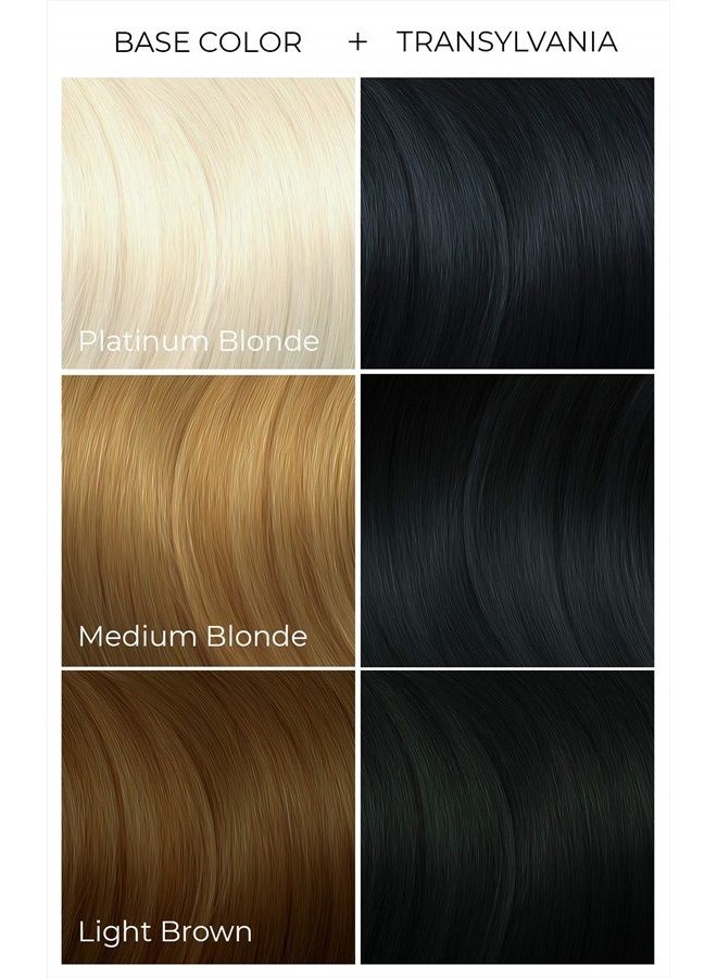 ARCTIC FOX صبغة شعر شبه دائمة نباتية وخالية من القسوة (8 أونصة سائلة، ترانسلفانيا) - Image 2