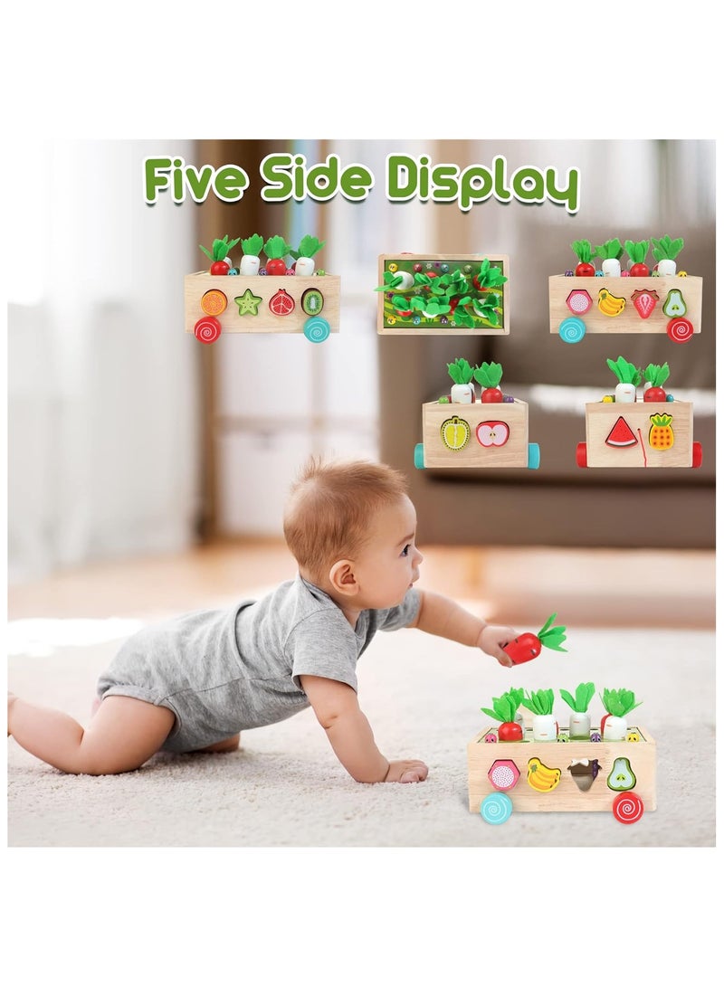 Montessori Educational Shape Sorting Toys for Toddlers – Wooden Preschool Learning Toy for Kids Age 2-4, Fine Motor Skills Game for Boys & Girls, Fun Shape Sorting Activity - Image 4