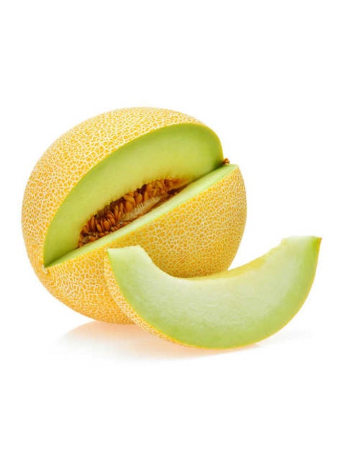 Galia Melons, Approx 1kg Per Piece, Spain