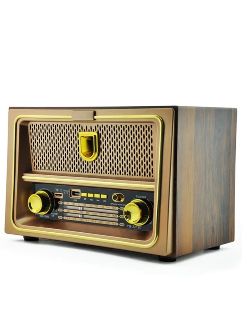 Radio Wireless Rechargeable Radio Fm Classsic Multicolour