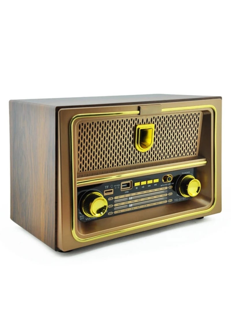 Radio Wireless Rechargeable Radio Fm Classsic Multicolour