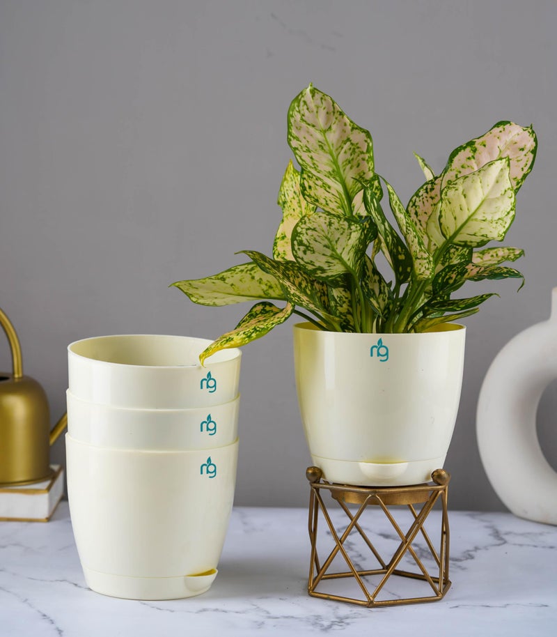 Nurturing Green® Combo of 4 Self Watering Flower Pots for Living Room & Home Decor | Plastic Plant Pots for Indoor, Balcony & Garden (Color: Ivory, Size: 14cm x 12.5cm Each) - Image 1