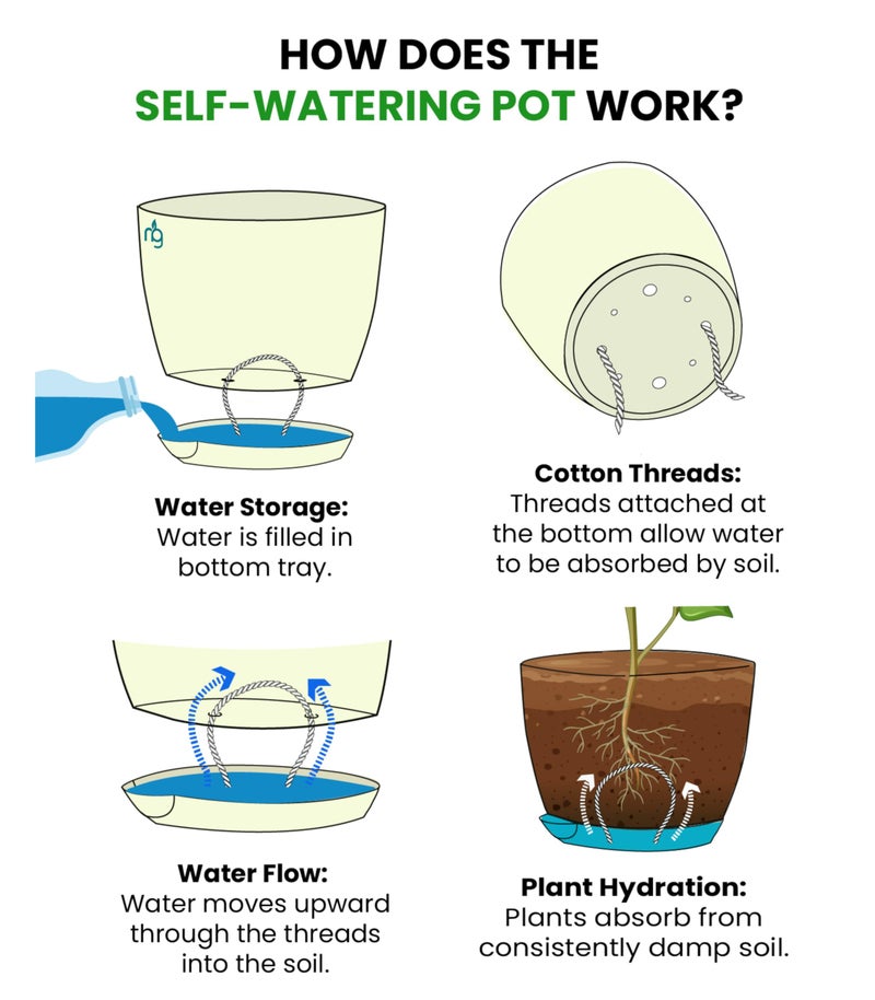 Nurturing Green® Combo of 4 Self Watering Flower Pots for Living Room & Home Decor | Plastic Plant Pots for Indoor, Balcony & Garden (Color: Ivory, Size: 14cm x 12.5cm Each) - Image 5