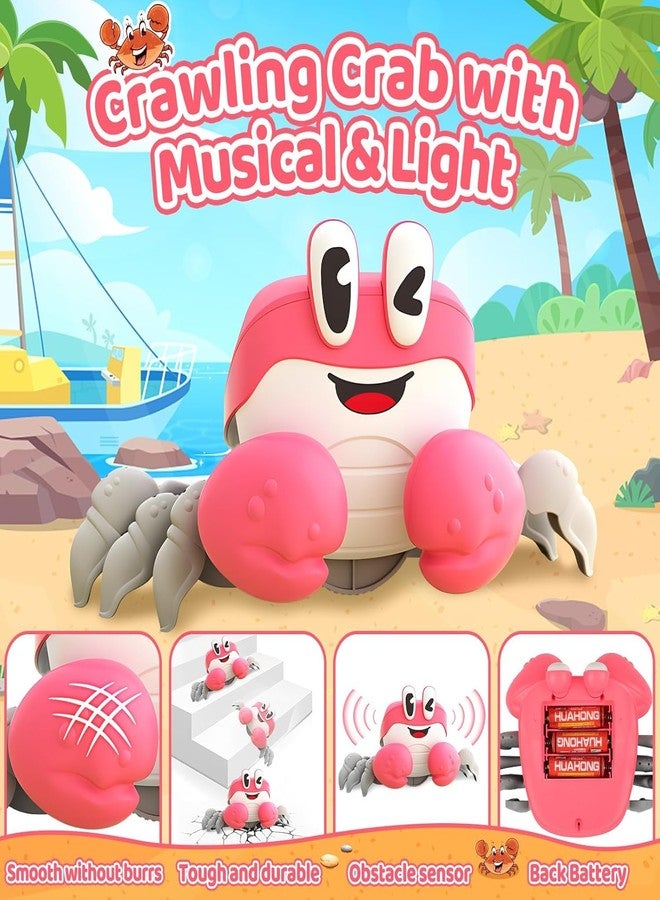 Spindoo Crawling Crab Baby Toy with Music & Lights | Interactive Sensory Toys for Infants & Toddlers 0-3 Years | Montessori Educational Gift for Kids, Baby Crawling Training Toy (Random Colour) - Image 2