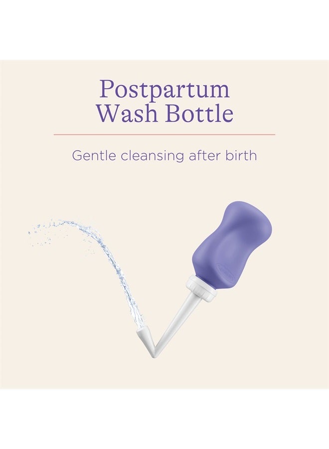 Lansinoh Postpartum Essentials Recovery Bundle, Postpartum Care Kit - Image 3