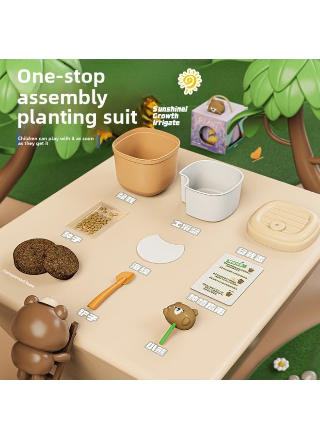 Generic - Children's Planting Small Potted Vegetable Fruit Flower Plant Observation Cup Scientific Experiment Suit Toy Kindergarten Gift-Specifications:Bear Style-mother And Child Watermelon - Image 1