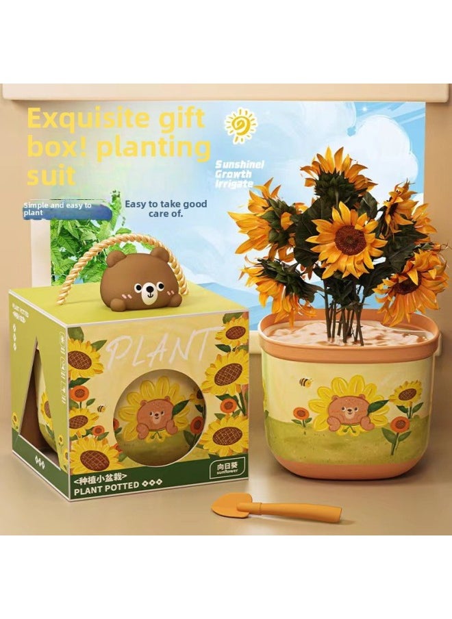 Generic - Children's Planting Small Potted Vegetable Fruit Flower Plant Observation Cup Scientific Experiment Suit Toy Kindergarten Gift-Specifications:Bear Style-mother And Child Watermelon - Image 1