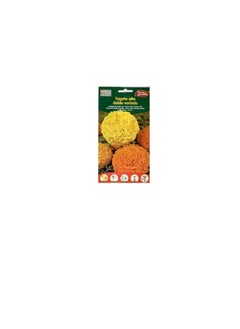 Euro Euro Garden Mari Gold tall Double mix  - Image 2