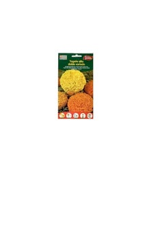 Euro Euro Garden Mari Gold tall Double mix  - Image 3