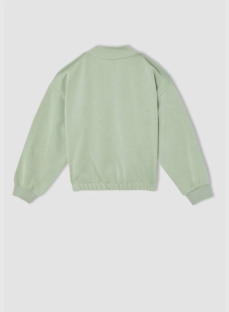 DeFacto Regular Fit Turtleneck Long Sleeve Sweatshirt