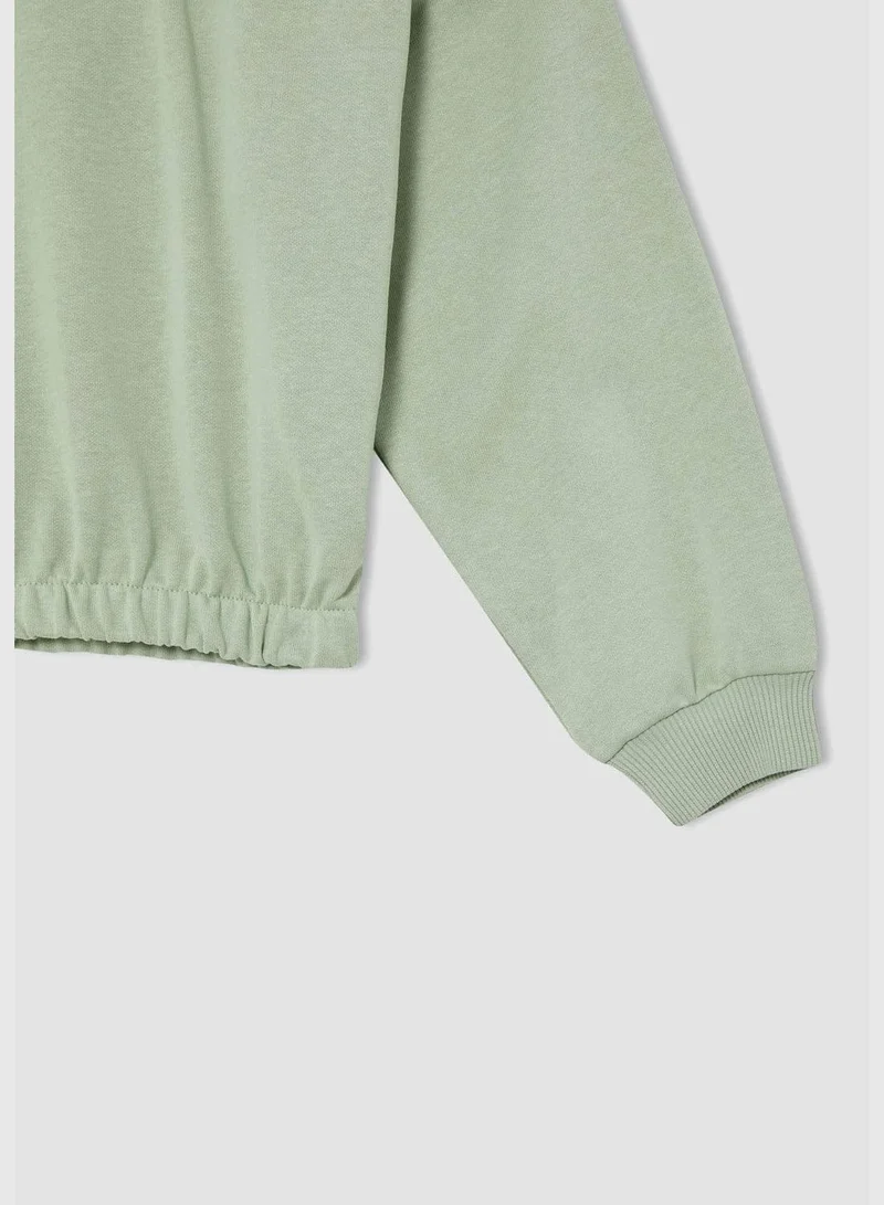 DeFacto Regular Fit Turtleneck Long Sleeve Sweatshirt
