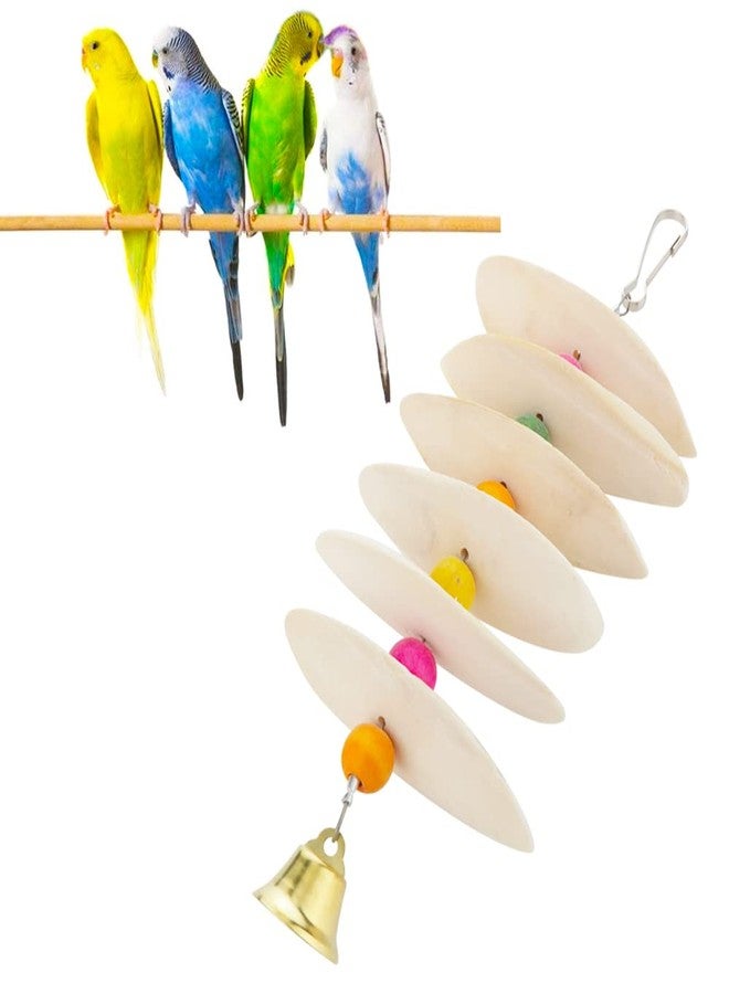 DQITJ Bird Cuttlebone Chew Toy, Natural Bird Calcium Cuddle Bone for Parrot Cockatiel Budgie Conure Sharp Beaks (6 Pcs in a Bunch) - Image 1