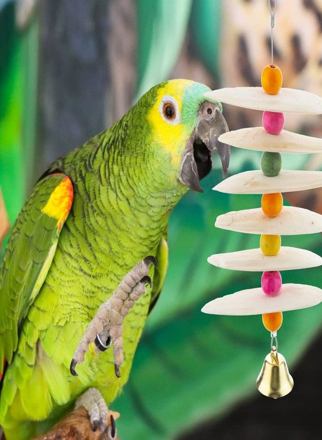DQITJ Bird Cuttlebone Chew Toy, Natural Bird Calcium Cuddle Bone for Parrot Cockatiel Budgie Conure Sharp Beaks (6 Pcs in a Bunch) - Image 2