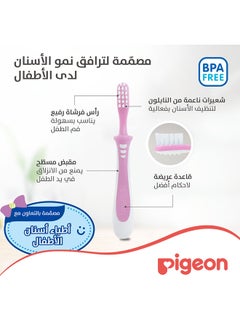 pigeon فرشاة أسنان تدريب الأطفال الدرس 3 - وردي  - Image 5