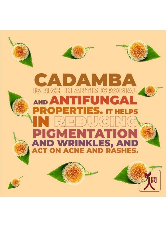 ningen Cadamba Cleansing Milk I With Goodness Of Aloe Vera Neem And Cucumber I Dermatologically Tested Paraben Free I Removes Dirt Grime And Makeup I 200G Maroon - Image 4