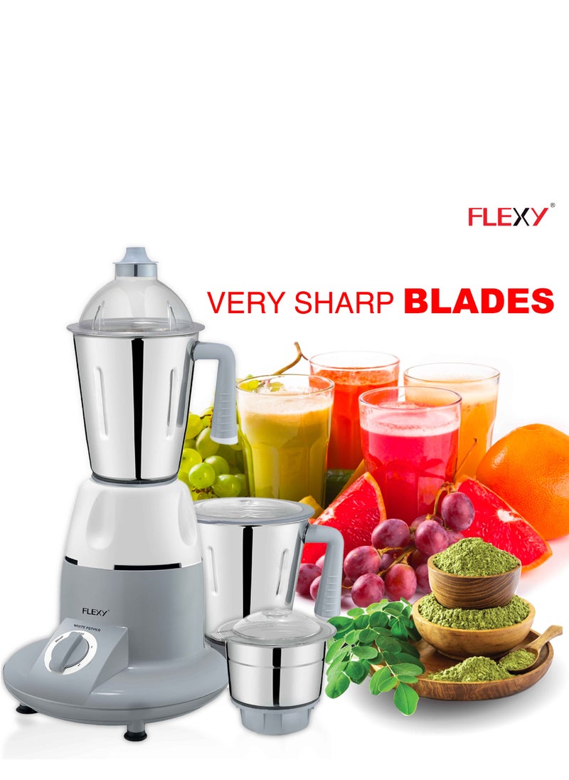 Flexy - Flexy 3 In 1 Multi Functional Indian Grinder Blender With Stainless Steel Jars and Blades - Image 1