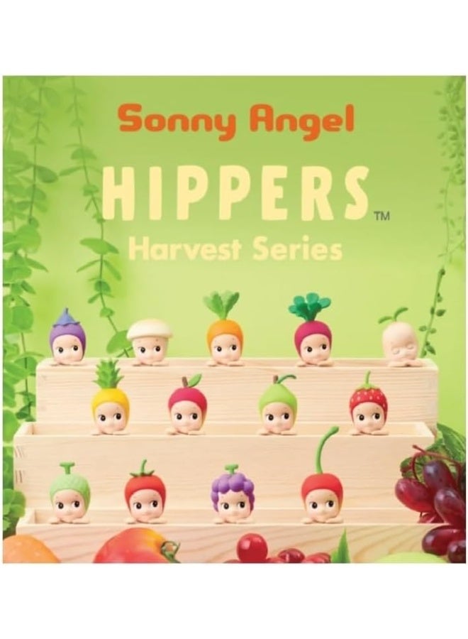 Sonny Angel HIPPERS Harvest series By Sonny Angel (1pc Random)  - Image 2