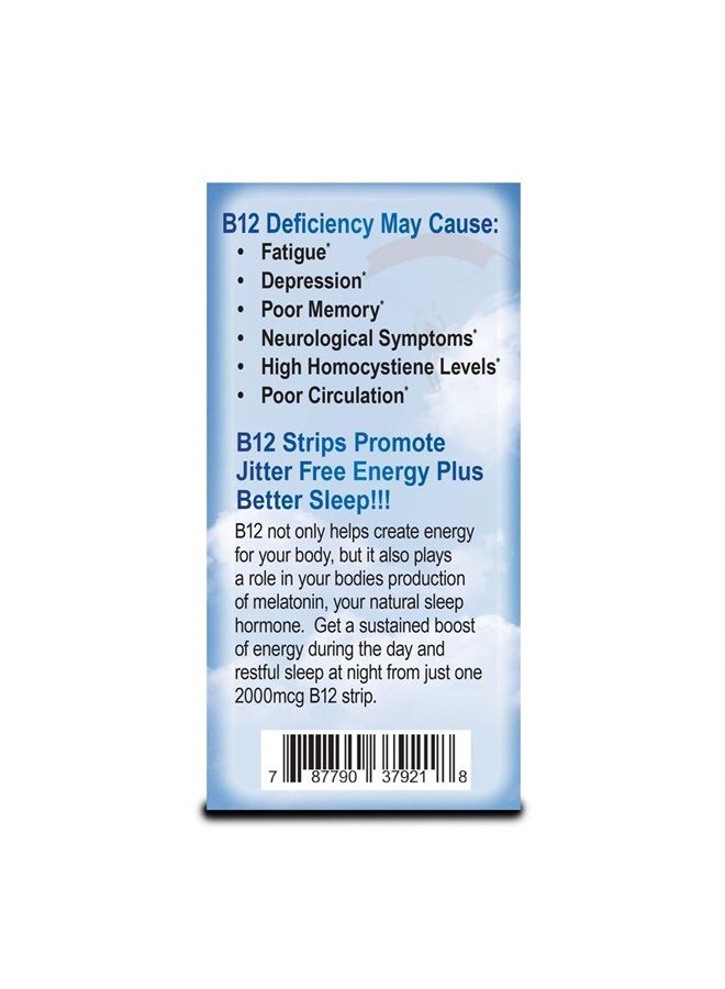 Essential Source شرائط فيتامين ب12 - مكمل طاقة مع 2000 ميكروغرام من ميثيلكوبالامين، ب6، حمض الفوليك وبيوتين - دعم صحة الأعصاب والدماغ، تخفيف التوتر، النوم - نكهة التوت الشتوي، 90 يومًا من الإمدادات - Image 3