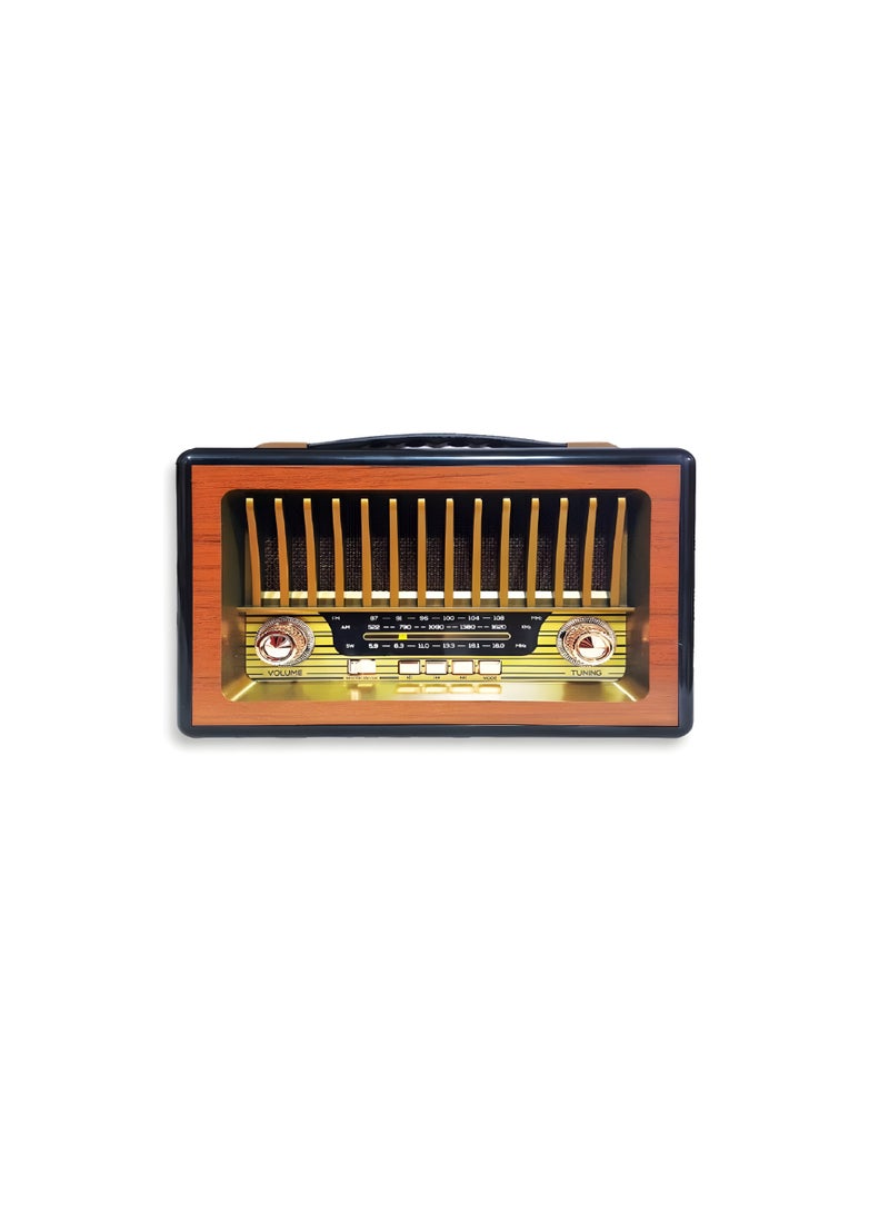 M-1916BT Bluetooth Radio and Speaker with FM, AM, SW, USB, TF, and AUX Input – 1200mAh Battery – GOLD - Image 1