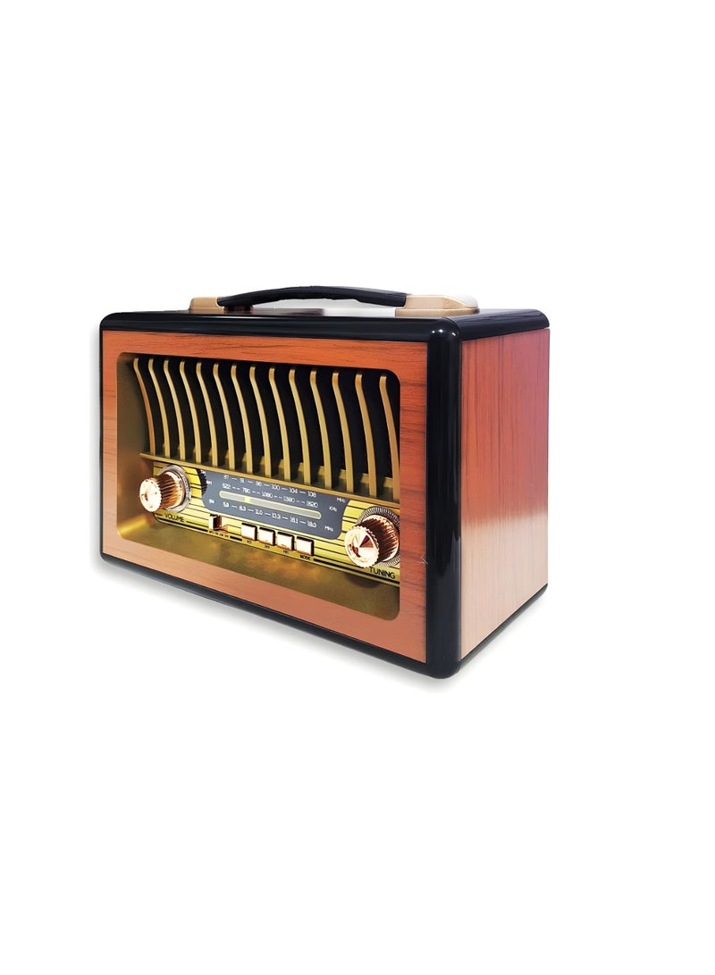 M-1916BT Bluetooth Radio and Speaker with FM, AM, SW, USB, TF, and AUX Input – 1200mAh Battery – GOLD - Image 3