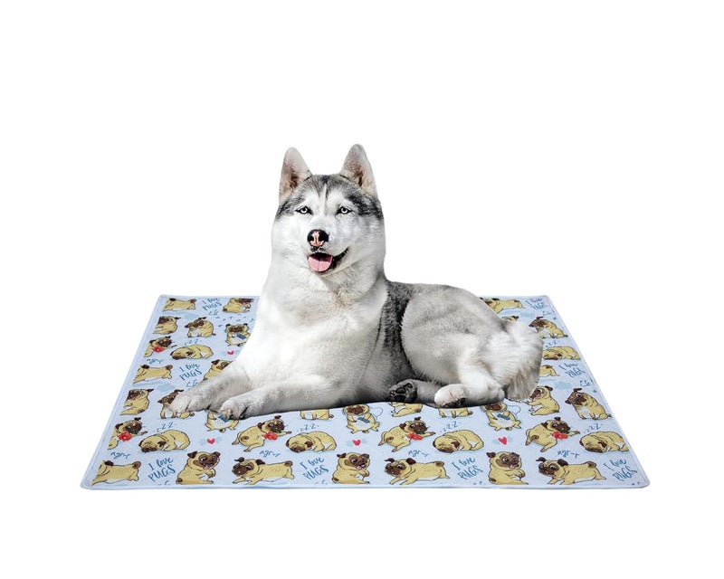 AAZEEM Soft Light Weight Mat for Dogs, Cats & Pets, Skin Friendly Mat| FloorMat | Pet Area Carpet | Anti-Spill 27 X 40 Inches |White Color|Large Size| - Image 1
