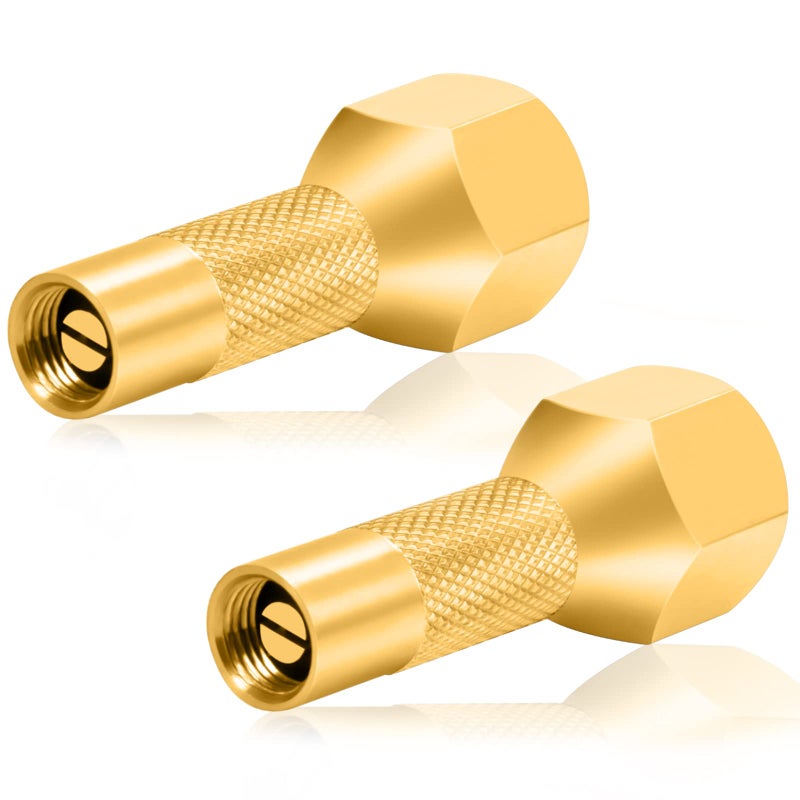 GODESON Tyre Air Chuck Heavy Duty Screw on Tyre Air Chuck for tyre Inflator Gauge Compressor Accessories, Twist-on Chucks(Pack 2pcs)