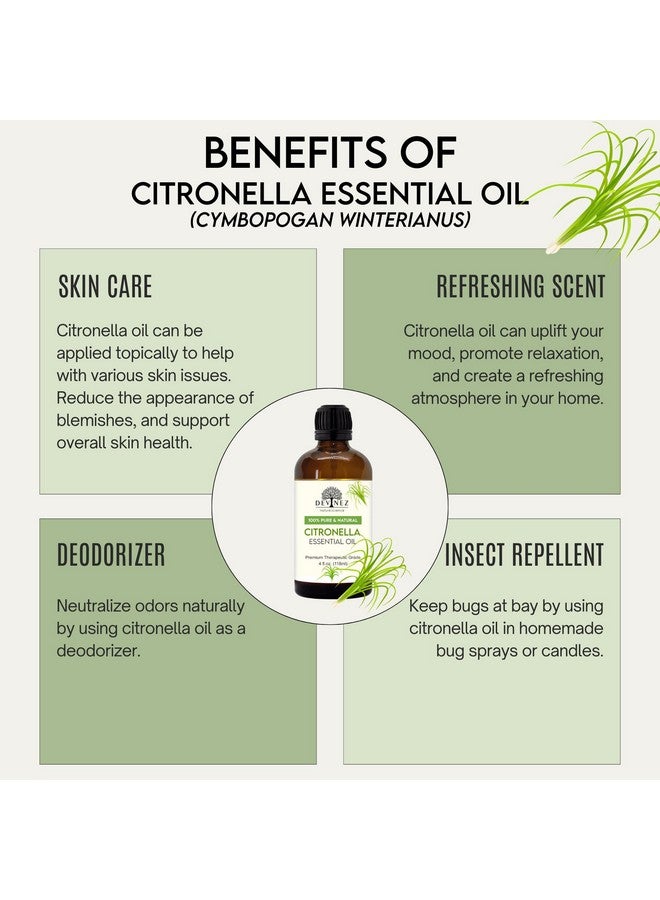 ديفينيز زيت السترونيلا العطري مع قطارة ممتازة بدرجة علاجية، زيت طبيعي نقي 100% وغير مخفف للعلاج بالروائح العطرية وموزعات الروائح وصناعة الشموع والعناية بالبشرة والشعر (118 مل) - Image 3