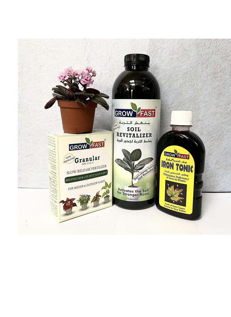 GROW FAST - Grow Fast Soil Revitalizer Iron Tonic Granular NPK Best for Indoor and Outdoor Plants - Image 1