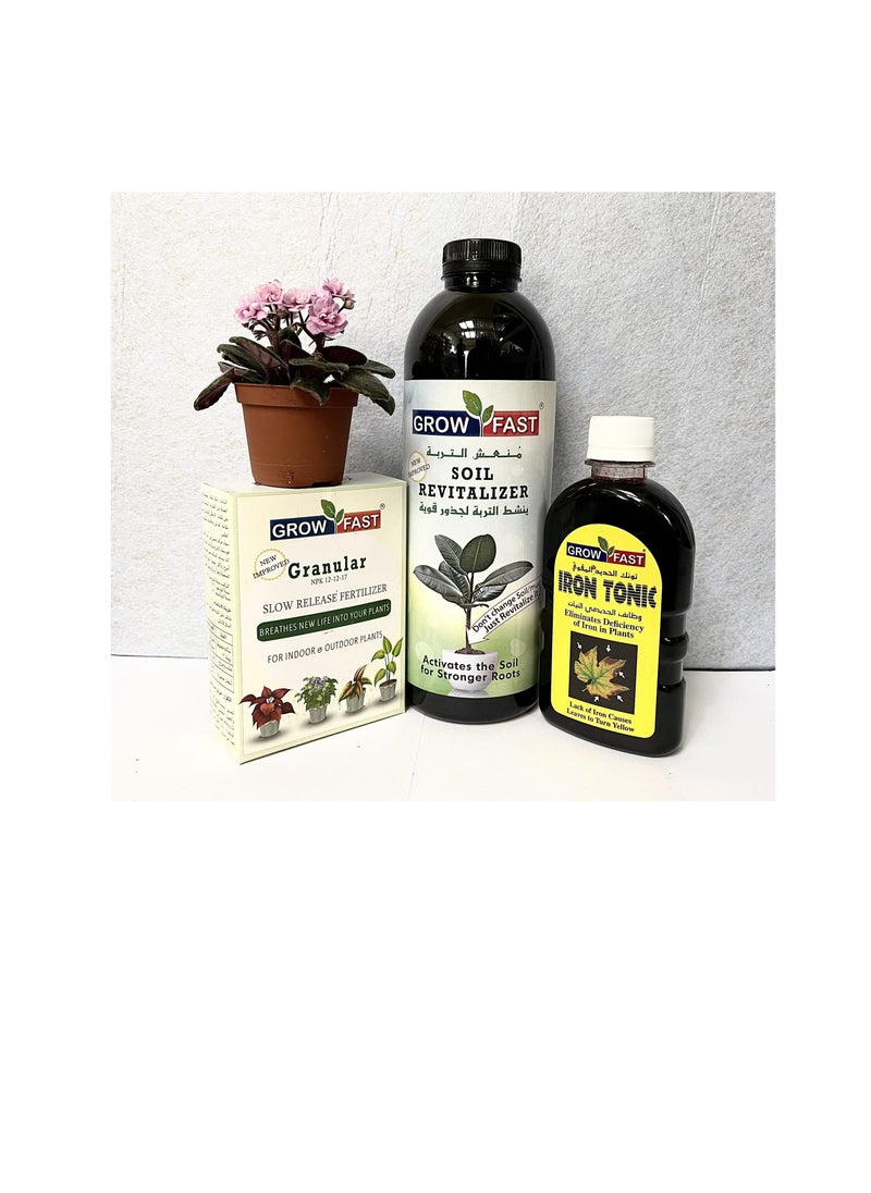 GROW FAST - Grow Fast Soil Revitalizer Iron Tonic Granular NPK Best for Indoor and Outdoor Plants - Image 1