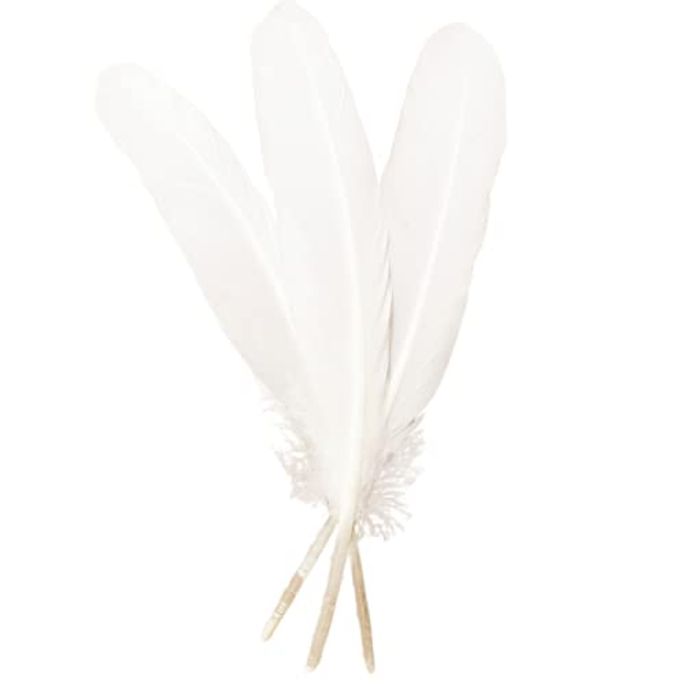 XKTEI 50pcs White Feathers 8~10 in,Beautiful Bulk Long Feather for Crafts21-25CM,Big Size Bilateral Natural Goose Feather,for Wedding Dress and Party Decoration,DIY Fabricating Handicraft Article(White) - Image 4