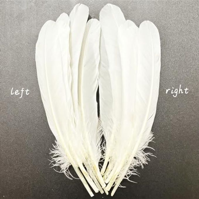 XKTEI 50pcs White Feathers 8~10 in,Beautiful Bulk Long Feather for Crafts21-25CM,Big Size Bilateral Natural Goose Feather,for Wedding Dress and Party Decoration,DIY Fabricating Handicraft Article(White) - Image 3