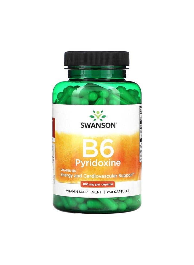 SWANSON بيريدوكسين ب6، 100 ملجم، 250 كبسولة