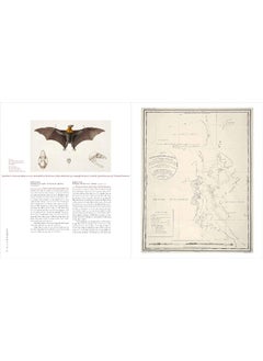 Daring French Explorations: Trailblazing Adventures Around the World: 1714-1854  - Image 1