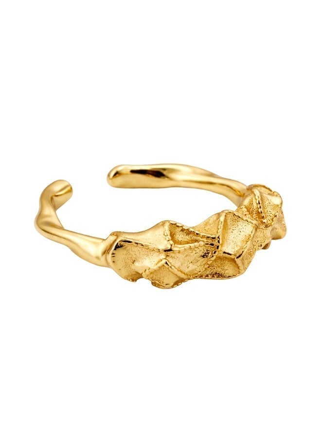 Velora Vie Scoria Crest Ring, 925 Sterling Silver Plated with 18K Gold Vermeil - Image 3
