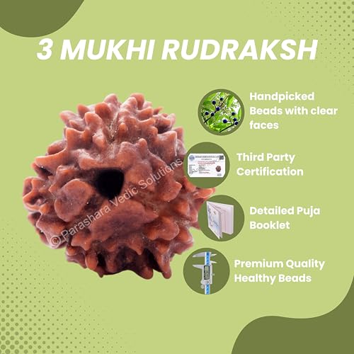 ARKAM Three Mukhi Rudraksha Certified/Original Nepali 3 Mukhi Rudraksh/Natural 3 Faced Rudraksha (Brown) with Certificate and Puja Instructions - Image 4