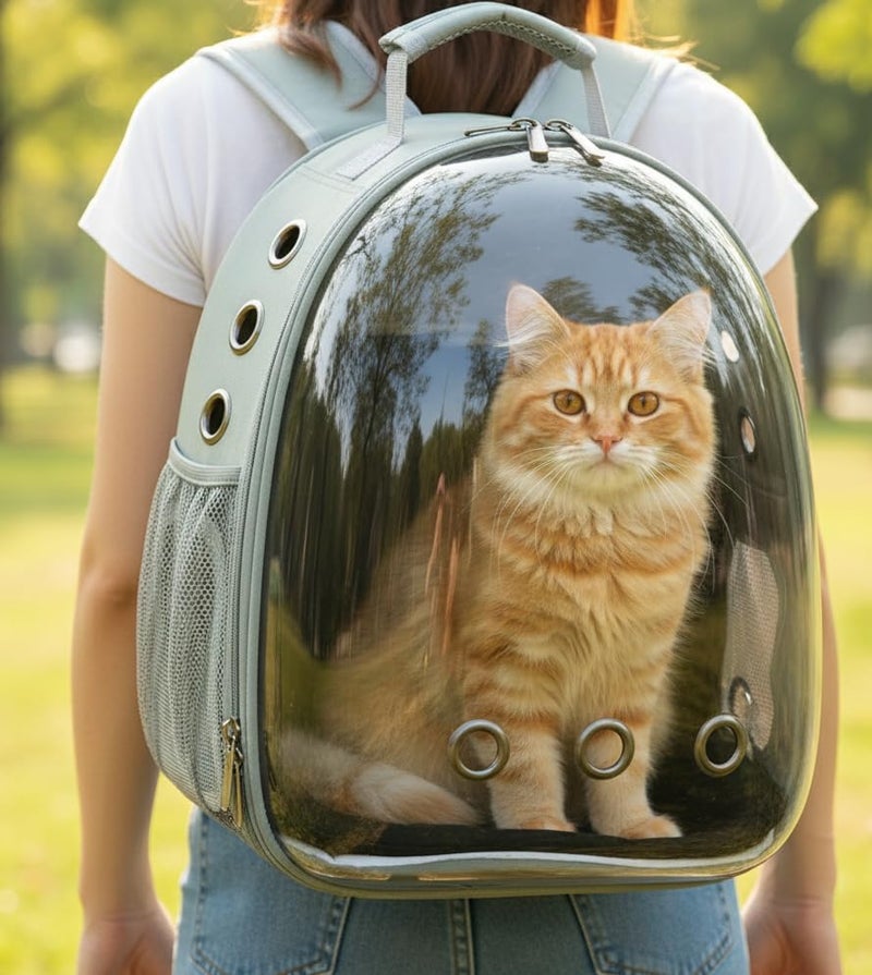 GTC Astronaut Transparent Pet Carrier Backpack for Cats and Small Dogs Airline Approved Breathable Mesh and Ventilation Holes Sturdy Pad (Extra Large) - Image 5