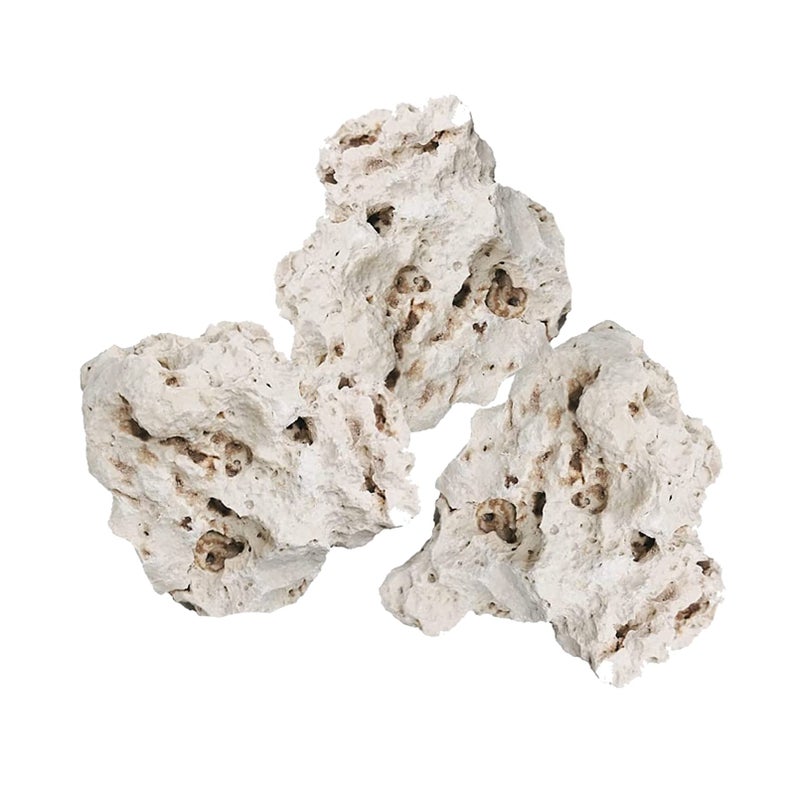 حجر صخري مثقوب أبيض مزخرف لأحواض السمك قاعدة بحرية صخور لتنسيق الأحواض ديكور طبيعي من الحجر الجيري لحوض السمك موطن للجمبري الأليف والزواحف حجم وكمية عشوائية