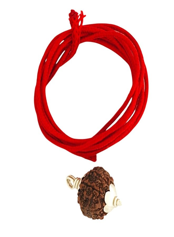 SENDAN 925 Sterling Silver Rudraksha Pendant | 7 Mukhi Nepali Rudraksha Pendant - Image 4