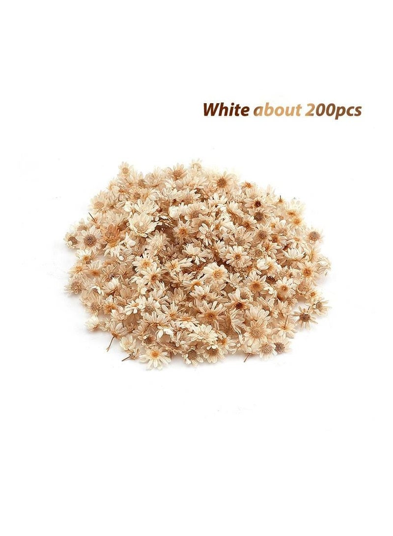 Generic 200Pcs/Bag Dried Flower Decoration Supplies Fashion Epoxy Craft Handmade DIY Accessories - Image 1