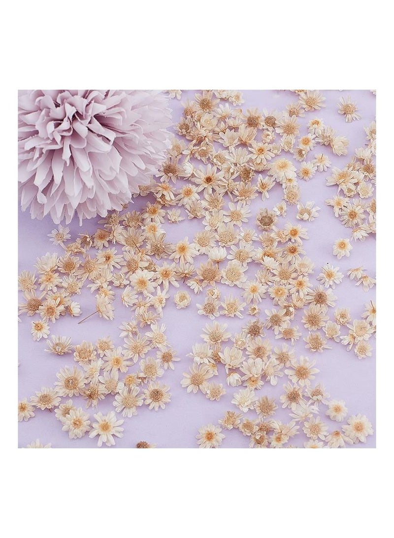 Generic 200Pcs/Bag Dried Flower Decoration Supplies Fashion Epoxy Craft Handmade DIY Accessories - Image 3